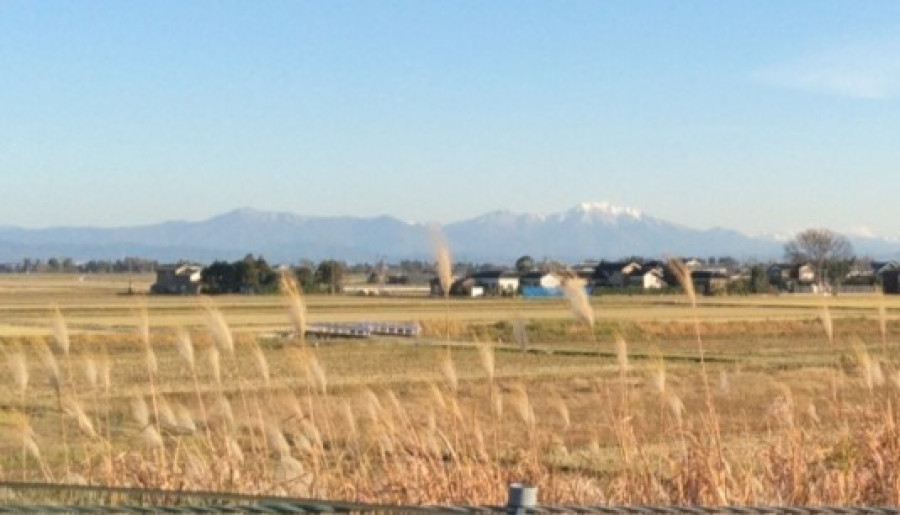 'Preparing for winter' in Niigata City! That 'wall' on the national highway that appeared again this year... do you know its surprising role?