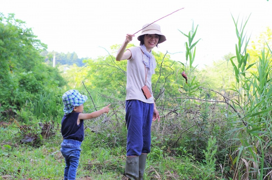 Try crayfish fishing during summer holidays! Fukui, Nishigamaku, Niigata City